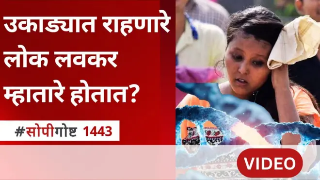 सोपी गोष्ट : उष्ण प्रदेशात राहून मधूमेह, हृदयरोग लवकर होतात का?