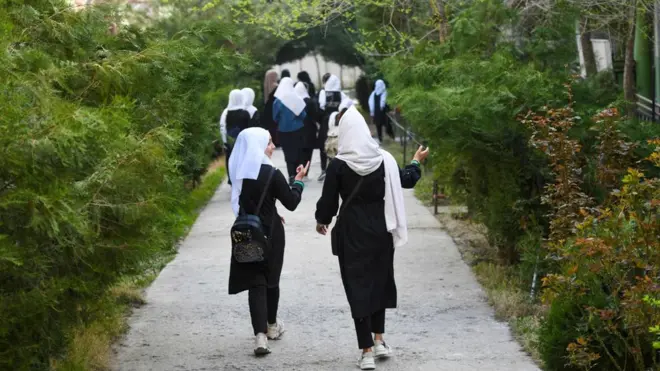 افغانستان نجونې