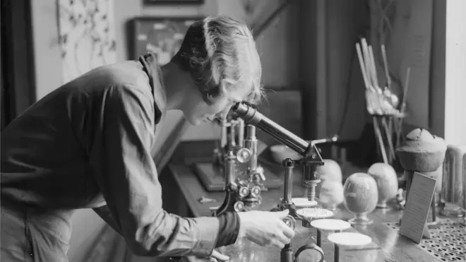 жінка, мкроскоп