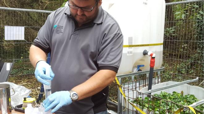 Cientista faz experimento com aguapé