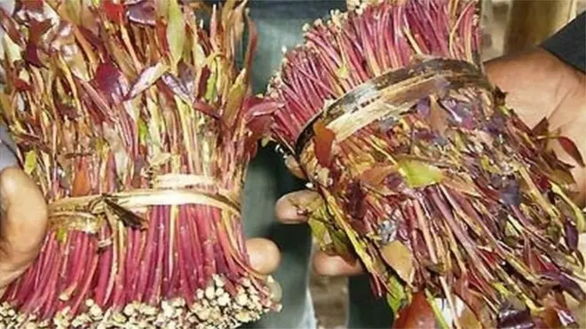 Jaadka ayaa kamid ah waxyaabaha Kenya ay u dhoofiso Soomaaliya