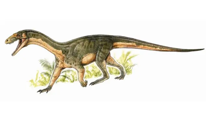 Дані про телеократера повністю змінюють наше уявлення про родичів динозаврів