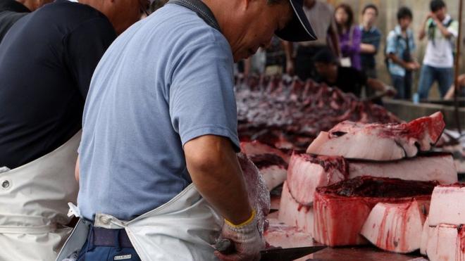 千葉県の港町で鯨肉を処理する漁協関係者（2009年7月）