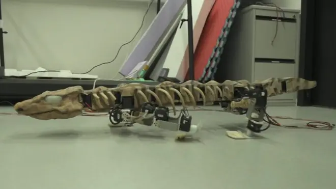 يزور نسيم رمضان مختبراً خاصاً بالروبوتات يقوم العلماء فيه بتطوير روبوتات لتحليل الحيوانات المنقرضة لجمع معلومات أكثر عنها.