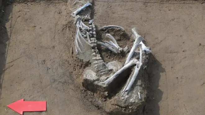 Los investigadores analizaron restos de personas vivieron incluso hasta hace 9.000 años.