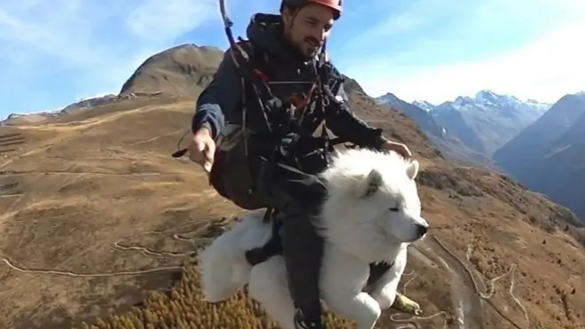 Pas koji leti paraglajdingom