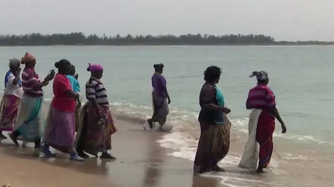 انڈین ریاست تمل ناڈو کی 3000 خواتین ساڑھی پہن کر سمندر میں غوطہ خوری کرکے سمندر نباتات چنتی ہیں