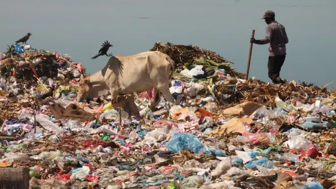 යුද්ධයෙන් පසු කුණුවලින් බැටකන කාත්තන්කුඩිය