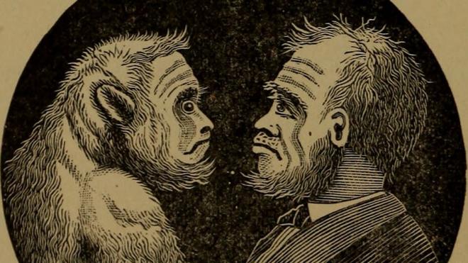 Ilustración de hombre y mono
