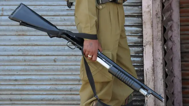 تنظیم کے مطابق انڈین فورسز جسے 'پیلٹ گن' کہہ رہی ہیں وہ گمراہ کن نام ہے کیونکہ وہ پلیٹ گن نہیں بلکہ 'شاٹ گن' ہے