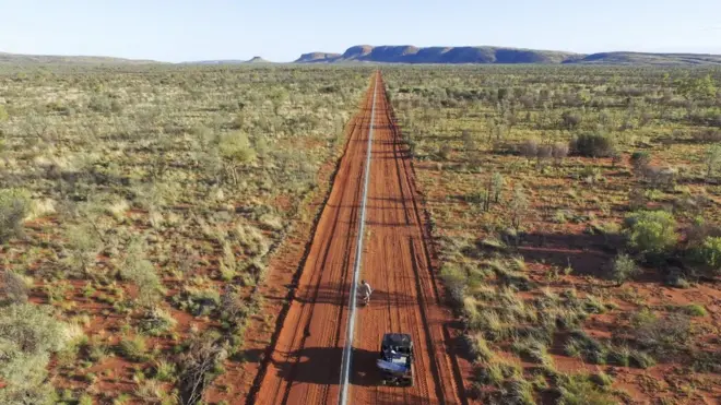 The 44km-long electric fence is designed to keep feral cats out of a wildlife refuge