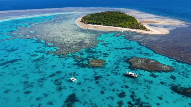 Јужни Велики корални гребен