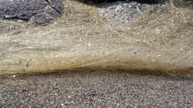 Las hebras de vidrio basáltico son esparcidas facilmente por el viento.