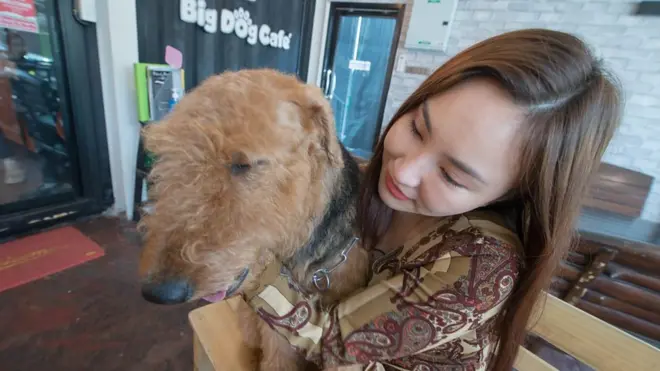 ผู้หญิงกอดสุนัข