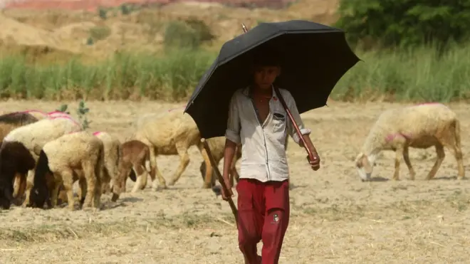 बिहार में लू का कहर