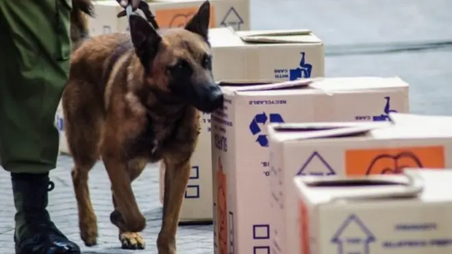 Huyu ni mmoja wa mbwa ambaye Marekani iliipa tanzania 2016