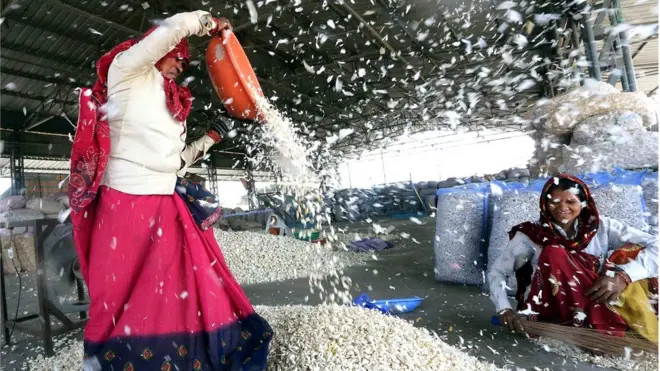 लहसुन की मंडी