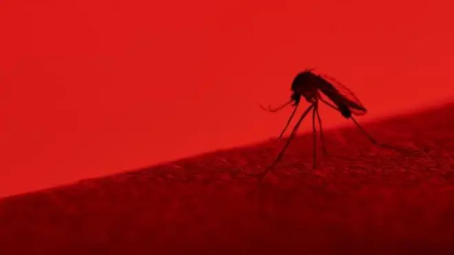 महामारी