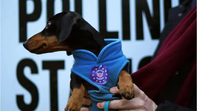 Политизированная одежда на участках запрещена. Вдруг кто-то посчитает, что вы пытаетесь его запугать