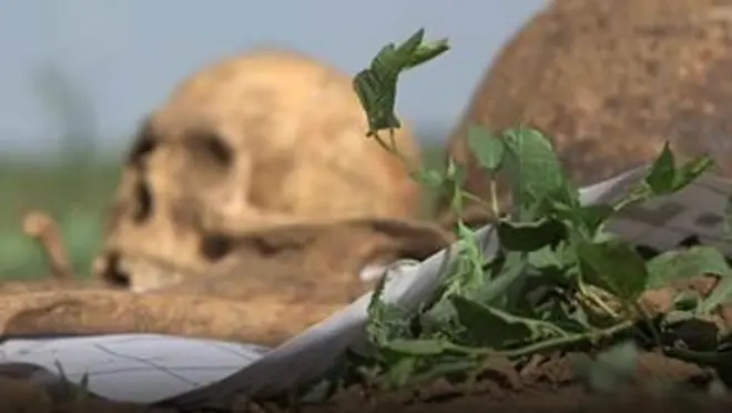 Posmrtni ostaci sovjetskih vojnika