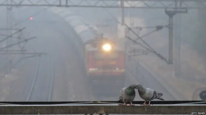 સાંકેતિક તસ્વીર