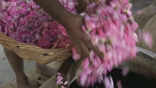 인도에서 향료공장들이 사라져가고 있다