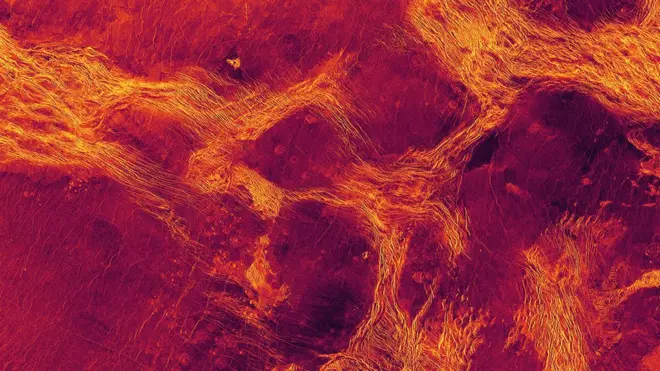 منظر رادار لمنطقة Lavinia Planitia على كوكب الزهرة، حيث انقسمت الطبقة الخارجية الصخرية للكوكب إلى كتل (أرجوانية) تحددها أحزمة من الهياكل التكتونية (أصفر)