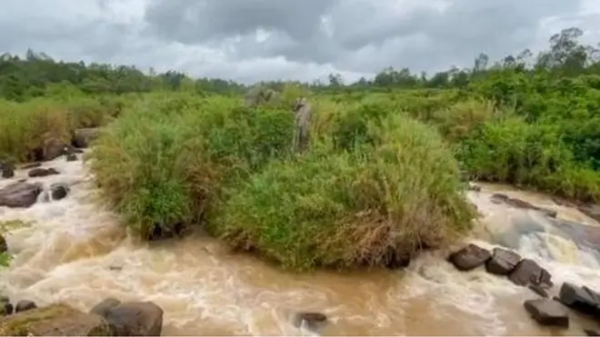 Laga Yaalaa, Keeniyaatti kan argamu