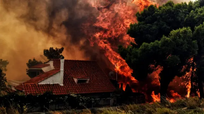 जंगल में लगी आग