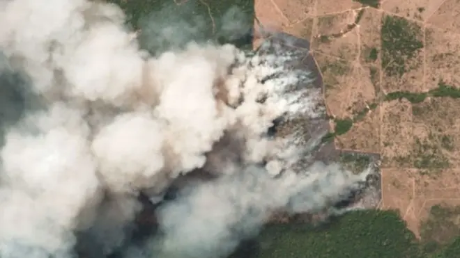 Bosona guddicha addunyaa gubaachaa jiru