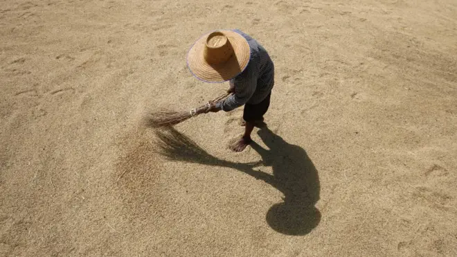 พรบ ข้าว