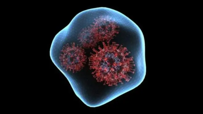 కరోనా కొత్త వేరియంట్ 'ఒమిక్రాన్'