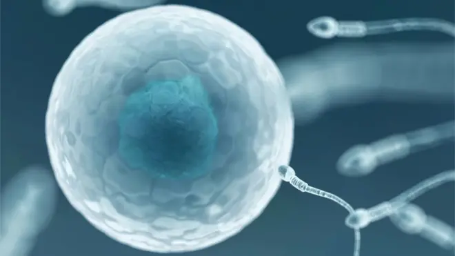 The online sperm bank will make clear that all its donors are HIV positive
