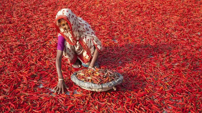 روایتی طور پر چاول، گندم، مکئی، آلو پیدا کرنے والا ملک نئی فصلیں جیسے کہ شملہ مرچ، ڈیگن فروٹ، اور سٹرابیری بھی پیدا کرنے لگا ہے