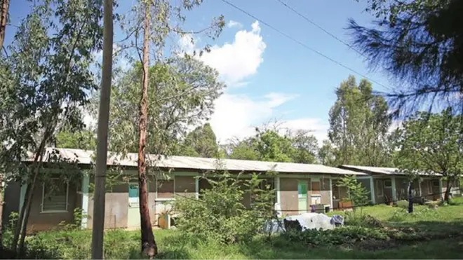 Dormii Kolleejjii Qonnaa Allaagee