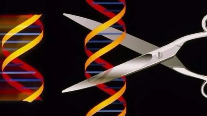 جین ایڈیٹنگ