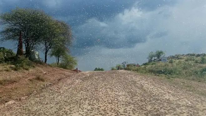 Weerara Awwaanisaa Gooroo Doolaatti mudate