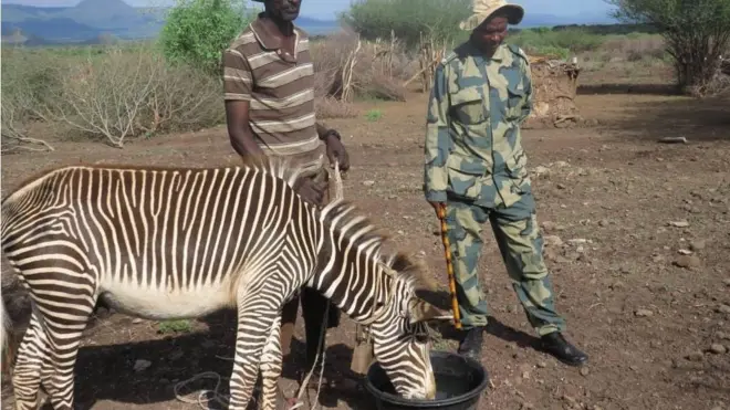 Harree diidaa Booranatti ummanni bishaa dhiyeessaaf jiru