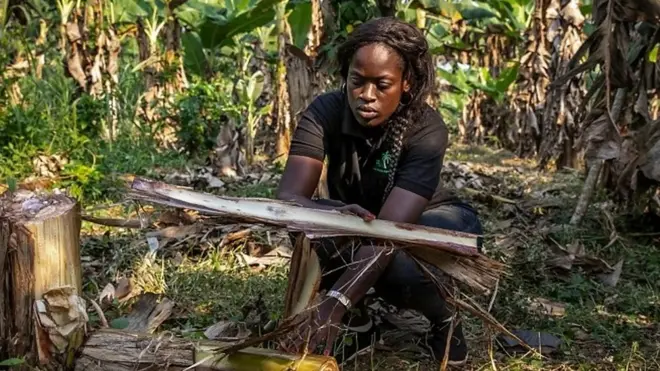 Afrique Avenir reçoit Armelle Sidje Tamo, fondatrice de la start-up PRA (Products Related to Agricultural sector)