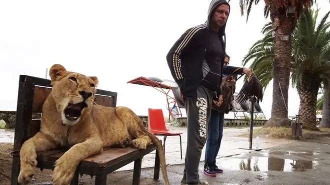 Existen en los mapas pero no son estados nacionales completos, ni miembros de organizaciones internacionales.