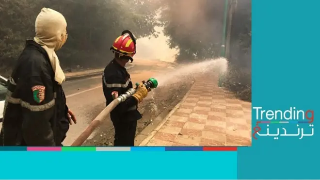 عشرات القتلى في حرائق الغابات في الجزائر، والسلطات لا تستبعد العمل الإجرامي وراءها