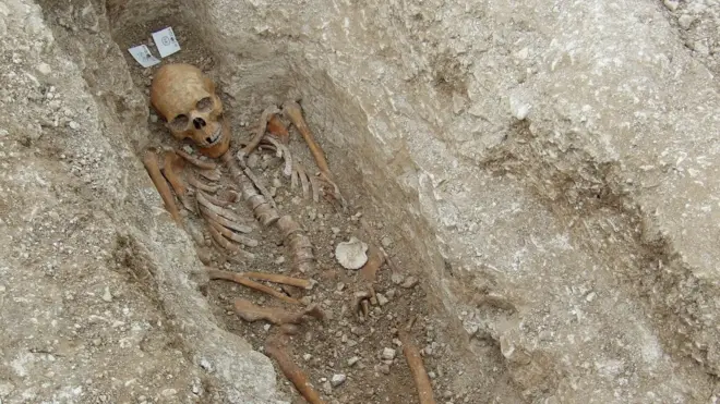 Створка раковины