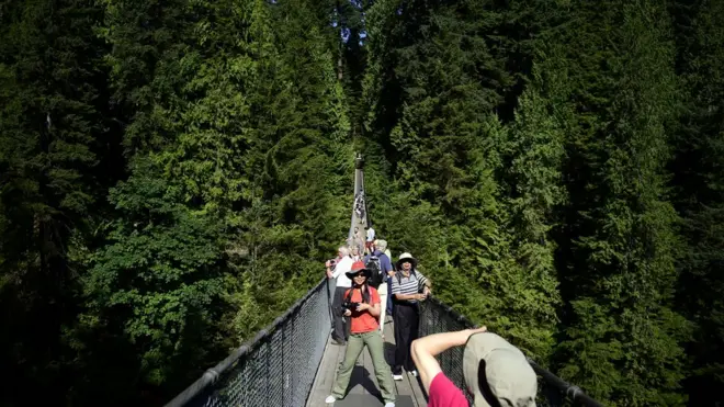 підвісний міст