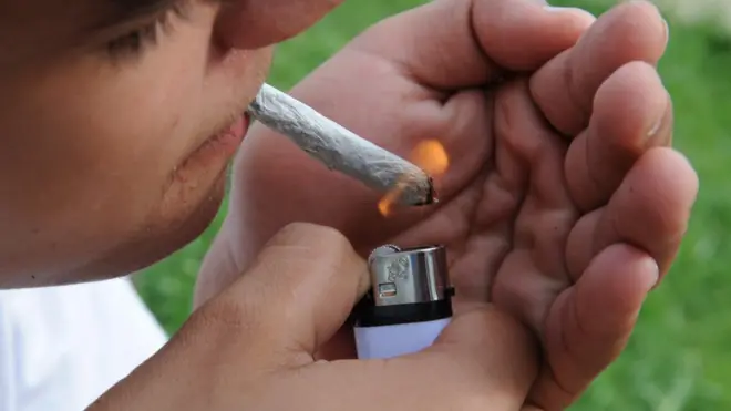 Paraguay es el distribuidor casi exclusivo de marihuana de Brasil, Argentina, Uruguay y Chile.