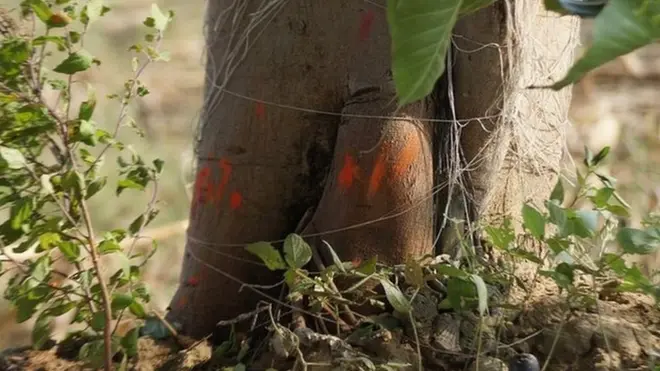 बलात्कार, महिला, गंगा