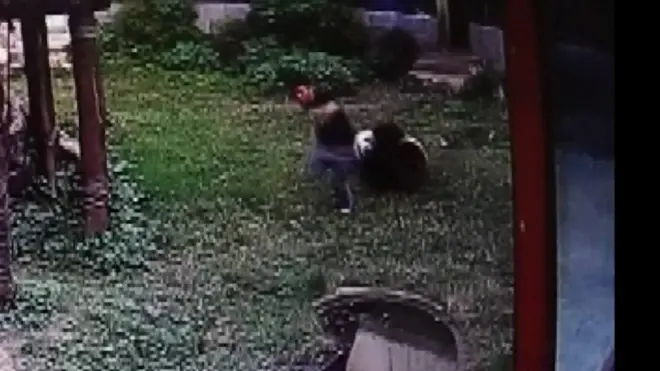 Joven dentro del recinto de un panda
