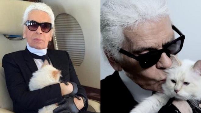 TV tonight: did Karl Lagerfeld really leave his fortune to his pet cat?, Television