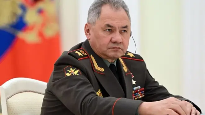 د شاغلي شویګو ارشیف تصویر