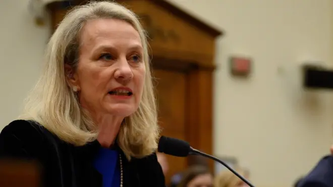 दक्षिण एशिया मामलों की सहायक विदेश मंत्री एलिस वेल्स