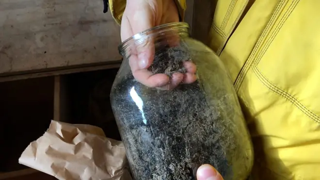 Биодинамичка пољопривреда